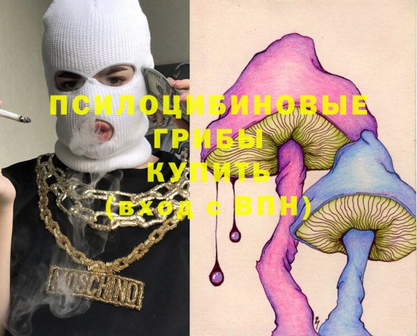 кокс Белокуриха