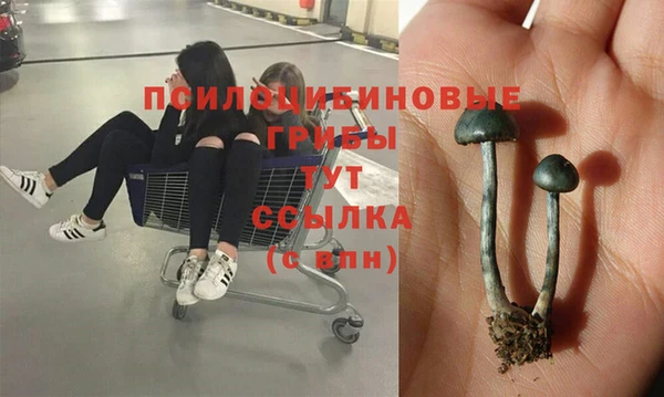 кокс Белокуриха