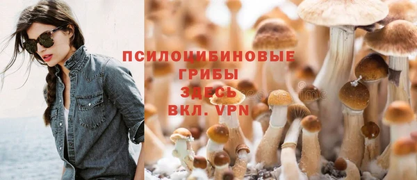 дмт Беломорск