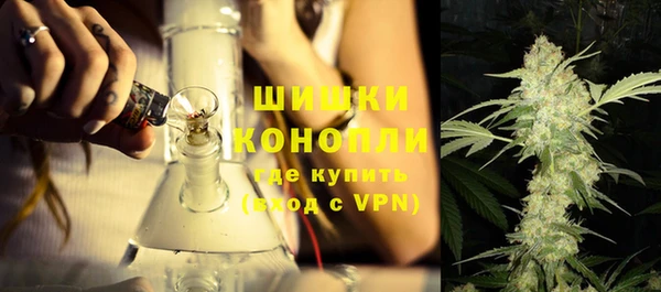 кокс Белокуриха