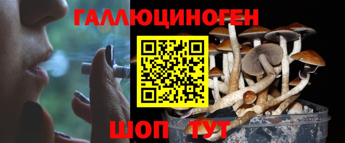 Псилоцибиновые грибы Magic Shrooms  Вход с VPN  Бирск 